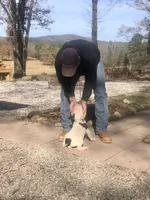 processed/9520f3d3-6d38-414a-bcec-42d5003652ae/listing/7440eee3-551b-4b7f-8177-d022f9d2df5b/a7747f6f-94b9-4b24-992a-2ca9b178d437