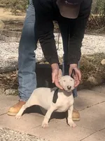 processed/9520f3d3-6d38-414a-bcec-42d5003652ae/listing/7440eee3-551b-4b7f-8177-d022f9d2df5b/daf394d2-6916-4468-a30e-f3a902fdccd3