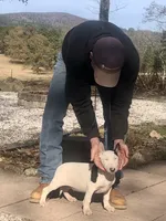 processed/9520f3d3-6d38-414a-bcec-42d5003652ae/listing/7440eee3-551b-4b7f-8177-d022f9d2df5b/db96b385-4fbd-4386-9d24-17bdca8ea0bc