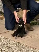 processed/9520f3d3-6d38-414a-bcec-42d5003652ae/listing/77589c31-1577-4224-938c-2ed58df2198a/38f729f4-1baf-45d0-ada5-093e4058b0a6