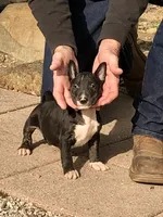 processed/9520f3d3-6d38-414a-bcec-42d5003652ae/listing/77589c31-1577-4224-938c-2ed58df2198a/60c9d11d-cfcf-4a83-a47f-f88e15c1ed9d