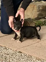 processed/9520f3d3-6d38-414a-bcec-42d5003652ae/listing/77589c31-1577-4224-938c-2ed58df2198a/ec5834b1-bdfa-4715-ae41-3780337104fc