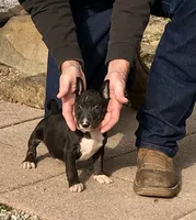 processed/9520f3d3-6d38-414a-bcec-42d5003652ae/listing/77589c31-1577-4224-938c-2ed58df2198a/f589948d-21bd-481c-af30-e0376141d1b1