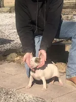 processed/9520f3d3-6d38-414a-bcec-42d5003652ae/listing/bef1b52d-f4e9-46d9-9f9e-6c18c351ed3c/0092a747-5000-4f3f-b870-e5011b2cb18e