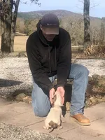 processed/9520f3d3-6d38-414a-bcec-42d5003652ae/listing/bef1b52d-f4e9-46d9-9f9e-6c18c351ed3c/2942cdf6-d4b8-4c95-9e0f-38df0b21d8ca