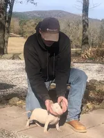 processed/9520f3d3-6d38-414a-bcec-42d5003652ae/listing/bef1b52d-f4e9-46d9-9f9e-6c18c351ed3c/48b61aaa-45f5-4e04-aa4d-800fed9b9cd6