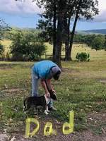 processed/9520f3d3-6d38-414a-bcec-42d5003652ae/listing/bef1b52d-f4e9-46d9-9f9e-6c18c351ed3c/7cfa9dad-bb4d-4a9f-83ba-7ae7ecf36dd1