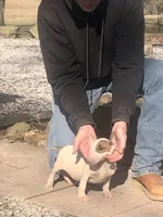 processed/9520f3d3-6d38-414a-bcec-42d5003652ae/listing/bef1b52d-f4e9-46d9-9f9e-6c18c351ed3c/9d069d21-4c22-4ce3-805b-ef1eb734f9fe