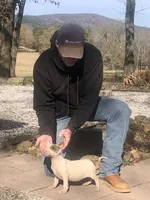 processed/9520f3d3-6d38-414a-bcec-42d5003652ae/listing/bef1b52d-f4e9-46d9-9f9e-6c18c351ed3c/c91cfb54-9b3c-44f8-a6e2-f02963f71d3d