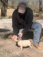 processed/9520f3d3-6d38-414a-bcec-42d5003652ae/listing/bef1b52d-f4e9-46d9-9f9e-6c18c351ed3c/f9a20265-6380-495b-9c4e-6953f9f544f2