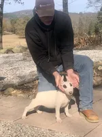 processed/9520f3d3-6d38-414a-bcec-42d5003652ae/listing/e0501b11-4ea0-455e-a236-90a9416cf278/1103735a-35fc-4511-841b-29d4b93ceafd