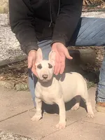 processed/9520f3d3-6d38-414a-bcec-42d5003652ae/listing/e0501b11-4ea0-455e-a236-90a9416cf278/2abe4083-c9f3-41ac-9464-45a342d3599e