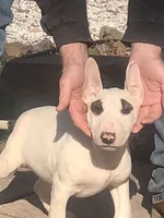 processed/9520f3d3-6d38-414a-bcec-42d5003652ae/listing/e0501b11-4ea0-455e-a236-90a9416cf278/322dfd60-7145-4747-8482-940bfe0b3a51