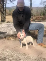 processed/9520f3d3-6d38-414a-bcec-42d5003652ae/listing/e0501b11-4ea0-455e-a236-90a9416cf278/3b1373a5-3c9d-4337-b5e3-9ef687c7e2da