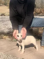 processed/9520f3d3-6d38-414a-bcec-42d5003652ae/listing/e0501b11-4ea0-455e-a236-90a9416cf278/5b823a84-2880-496c-b77d-000ede376854