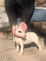 processed/9520f3d3-6d38-414a-bcec-42d5003652ae/listing/e0501b11-4ea0-455e-a236-90a9416cf278/8166e20f-4c48-4b12-b107-251e7a5fda5b