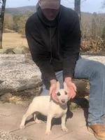 processed/9520f3d3-6d38-414a-bcec-42d5003652ae/listing/e0501b11-4ea0-455e-a236-90a9416cf278/890088d8-3a3f-4865-a0ca-ad78a522cdd6