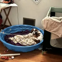 processed/952b80f3-3ca3-4d4b-8ade-546ba205c2f3/facility/9b10f45b-2d6d-4a54-ac03-ba8bffc9e960