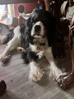 processed/952b80f3-3ca3-4d4b-8ade-546ba205c2f3/facility/bcba0a6b-b7ac-47bc-a351-e0fe1cac4451