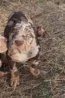 processed/9530aeef-d0f5-4eb6-8fa8-2e657e4d9bb7/listing/49fcccf2-4b28-4a7a-af83-557e8ca2ab6a/15d73093-ca40-49f4-bf91-c1dec65ea49b