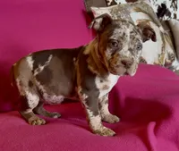 processed/9530aeef-d0f5-4eb6-8fa8-2e657e4d9bb7/listing/49fcccf2-4b28-4a7a-af83-557e8ca2ab6a/1f934fc5-450e-47b9-8bb4-408e89def725