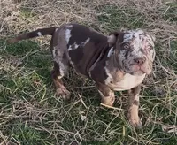 processed/9530aeef-d0f5-4eb6-8fa8-2e657e4d9bb7/listing/49fcccf2-4b28-4a7a-af83-557e8ca2ab6a/5829c390-1040-42b6-91fc-5ab62c5aafad