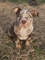 processed/9530aeef-d0f5-4eb6-8fa8-2e657e4d9bb7/listing/49fcccf2-4b28-4a7a-af83-557e8ca2ab6a/5fb7429a-6a2d-4630-843b-74691fb739f0