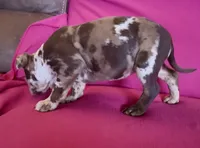 processed/9530aeef-d0f5-4eb6-8fa8-2e657e4d9bb7/listing/49fcccf2-4b28-4a7a-af83-557e8ca2ab6a/a03b487b-295b-4260-952b-9bcad78e1ae4