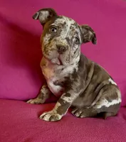 processed/9530aeef-d0f5-4eb6-8fa8-2e657e4d9bb7/listing/49fcccf2-4b28-4a7a-af83-557e8ca2ab6a/a8100f27-f896-4782-91ad-a16827dbcba6