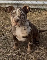 processed/9530aeef-d0f5-4eb6-8fa8-2e657e4d9bb7/listing/49fcccf2-4b28-4a7a-af83-557e8ca2ab6a/b474bd08-bcb2-41ee-9813-43690d0a816b