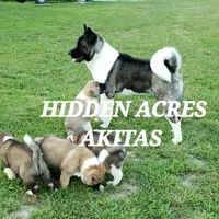 processed/953e0be9-7a00-4bd9-a611-fccafe97a5b7/facility/01286245-7307-4402-818f-446584459e70