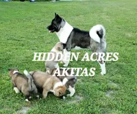 processed/953e0be9-7a00-4bd9-a611-fccafe97a5b7/facility/01286245-7307-4402-818f-446584459e70