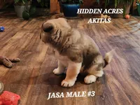 processed/953e0be9-7a00-4bd9-a611-fccafe97a5b7/listing/552128a8-7e4c-4359-90bf-026742f4574f/02e048b3-5f8d-44e3-bbd6-946354550cfa