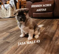 processed/953e0be9-7a00-4bd9-a611-fccafe97a5b7/listing/552128a8-7e4c-4359-90bf-026742f4574f/3b0a149a-7008-4872-b698-e6f6ceadd04d