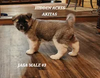 processed/953e0be9-7a00-4bd9-a611-fccafe97a5b7/listing/552128a8-7e4c-4359-90bf-026742f4574f/526c3499-d666-4051-83ed-adc7d9aba8c9