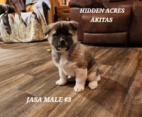 processed/953e0be9-7a00-4bd9-a611-fccafe97a5b7/listing/552128a8-7e4c-4359-90bf-026742f4574f/b8ec89b6-d7de-43cd-bc32-e063f59e3b05