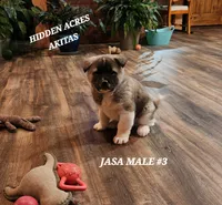 processed/953e0be9-7a00-4bd9-a611-fccafe97a5b7/listing/552128a8-7e4c-4359-90bf-026742f4574f/ed35c988-a4c1-448c-aae1-d9f96876082b