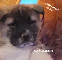 processed/953e0be9-7a00-4bd9-a611-fccafe97a5b7/listing/552128a8-7e4c-4359-90bf-026742f4574f/ef4eeced-c567-45a0-90b9-638cdfb2284e