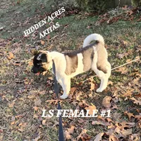 processed/953e0be9-7a00-4bd9-a611-fccafe97a5b7/listing/b0a21080-aa32-40f4-9117-b142f9bcbe27/19b3c579-30eb-4f82-aeff-112693d18493