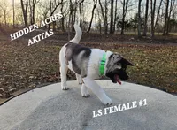 processed/953e0be9-7a00-4bd9-a611-fccafe97a5b7/listing/b0a21080-aa32-40f4-9117-b142f9bcbe27/3ab10f93-dc41-495f-abaf-bb9362b7346f