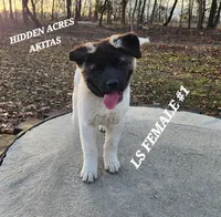 processed/953e0be9-7a00-4bd9-a611-fccafe97a5b7/listing/b0a21080-aa32-40f4-9117-b142f9bcbe27/4593a03a-6e3d-4b6a-b3a1-223ae10fde10