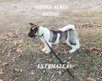 processed/953e0be9-7a00-4bd9-a611-fccafe97a5b7/listing/b0a21080-aa32-40f4-9117-b142f9bcbe27/5bd443f0-47ad-46f6-8e84-ff12c304e605