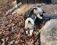 processed/953e0be9-7a00-4bd9-a611-fccafe97a5b7/listing/b0a21080-aa32-40f4-9117-b142f9bcbe27/67712684-b35a-4baf-83df-05f9c5d3bcf2