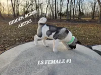 processed/953e0be9-7a00-4bd9-a611-fccafe97a5b7/listing/b0a21080-aa32-40f4-9117-b142f9bcbe27/81632f03-62db-4424-81df-4356c0a7639f