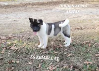 processed/953e0be9-7a00-4bd9-a611-fccafe97a5b7/listing/b0a21080-aa32-40f4-9117-b142f9bcbe27/c7ad85d7-2fa1-48d7-8d64-995674811f1f