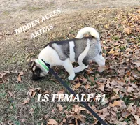 processed/953e0be9-7a00-4bd9-a611-fccafe97a5b7/listing/b0a21080-aa32-40f4-9117-b142f9bcbe27/ec60109a-7920-4e3a-9877-bdab47a742e5