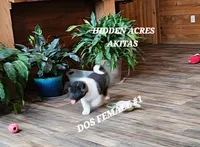 processed/953e0be9-7a00-4bd9-a611-fccafe97a5b7/listing/c118fe4c-6822-4cb4-9258-2a6aade3c7f9/34c56a6b-1bc3-4073-a88c-4d614f5e9b96