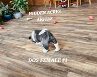 processed/953e0be9-7a00-4bd9-a611-fccafe97a5b7/listing/c118fe4c-6822-4cb4-9258-2a6aade3c7f9/62471fa4-49dc-4e58-b516-9300a7d4fb22