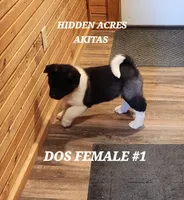 processed/953e0be9-7a00-4bd9-a611-fccafe97a5b7/listing/c118fe4c-6822-4cb4-9258-2a6aade3c7f9/8c41f74b-ba9a-4e38-a996-22f0f996417f