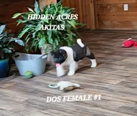 processed/953e0be9-7a00-4bd9-a611-fccafe97a5b7/listing/c118fe4c-6822-4cb4-9258-2a6aade3c7f9/8c692432-ac03-479a-a972-a3fc24d1d448